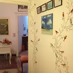 Novecento 2* Janov